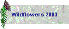 Wildflowers 2003